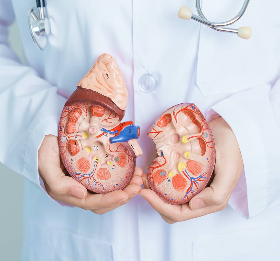 Committed to accessible and quality dialysis care
