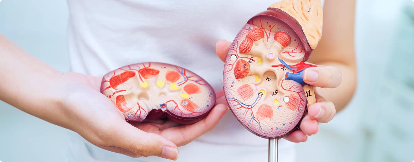 The Kidney Dialysis Foundation (KDF) is an independent non-profit organisation dedicated to providing subsidised dialysis treatment to needy kidney patients in Singapore.